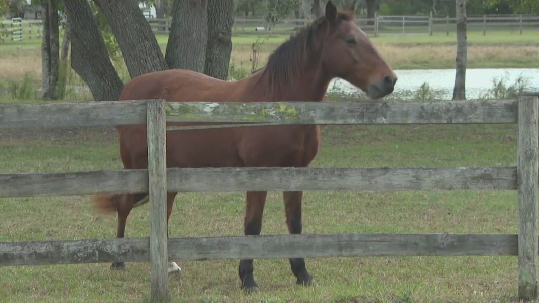 Lakewood Ranch expansion fight